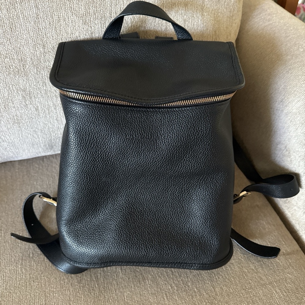 Longchamp Backpack